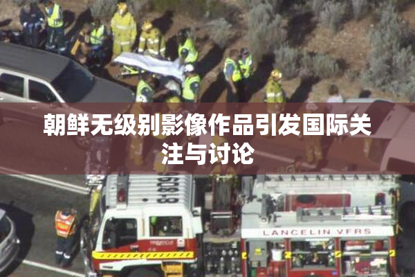 朝鲜无级别影像作品引发国际关注与讨论