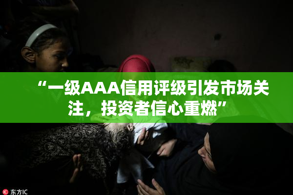 “一级AAA信用评级引发市场关注，投资者信心重燃”