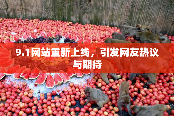 9.1网站重新上线，引发网友热议与期待
