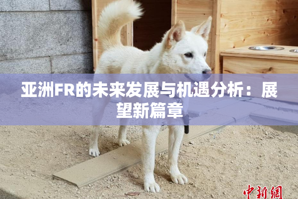 亚洲FR的未来发展与机遇分析：展望新篇章