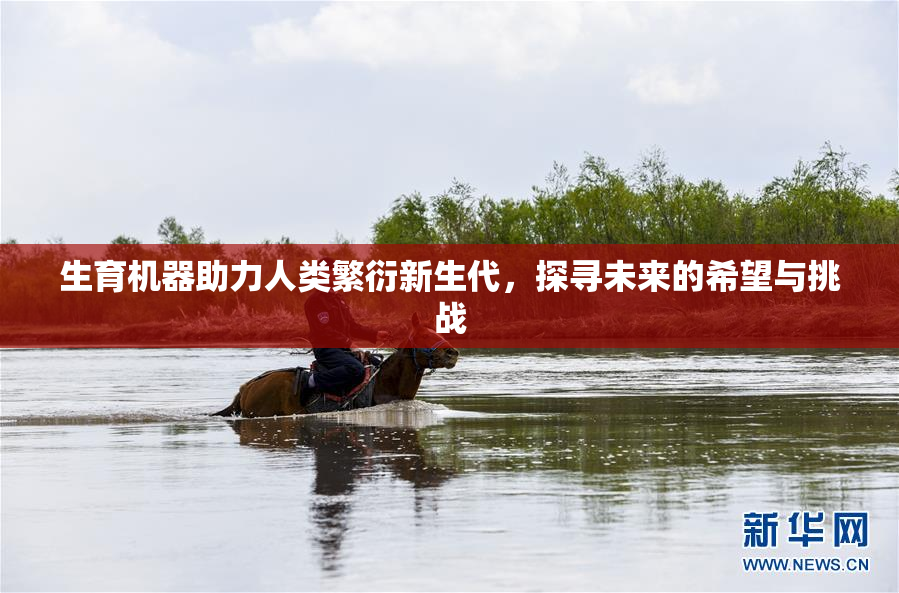 生育机器助力人类繁衍新生代，探寻未来的希望与挑战