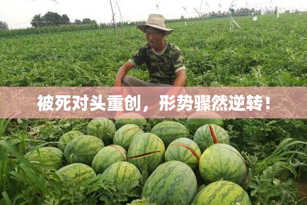 被死对头重创，形势骤然逆转！