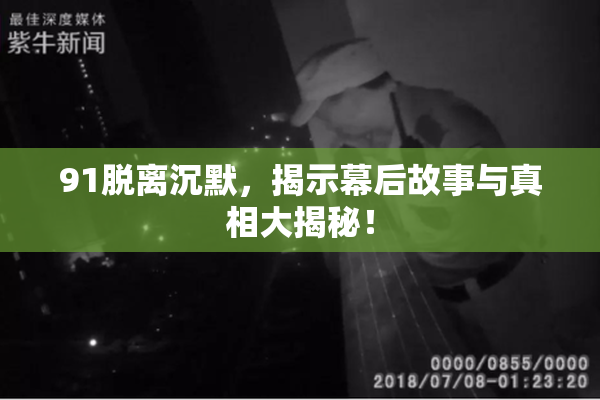 91脱离沉默，揭示幕后故事与真相大揭秘！