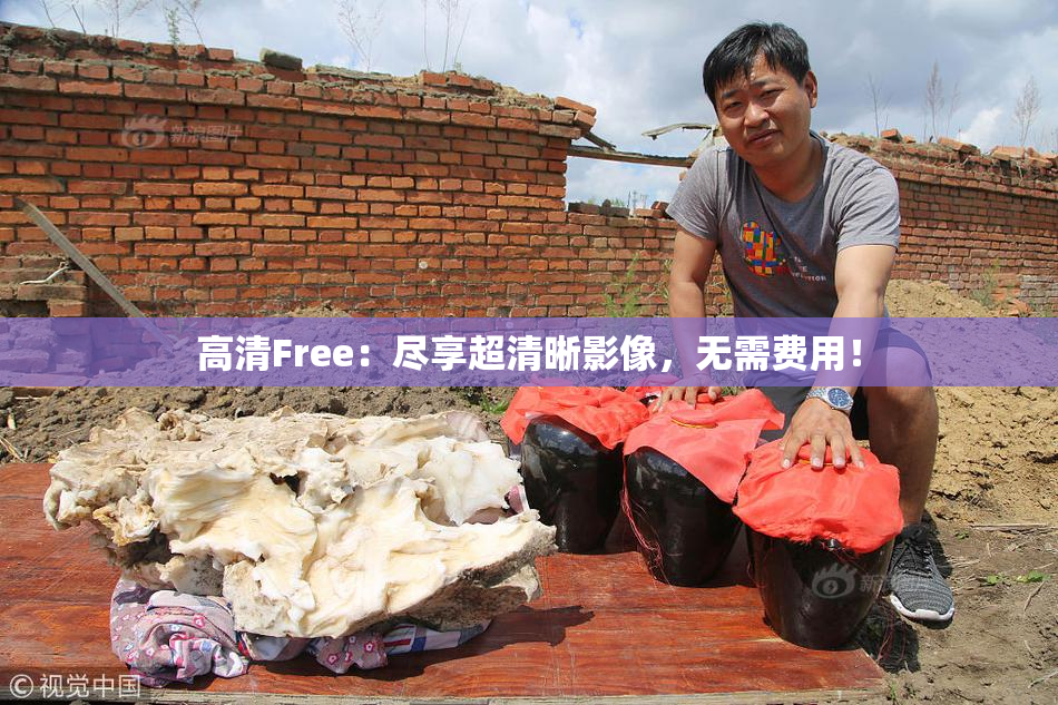 高清Free：尽享超清晰影像，无需费用！