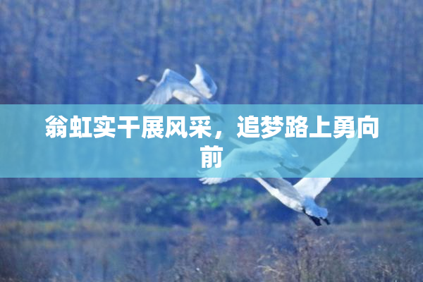 翁虹实干展风采，追梦路上勇向前