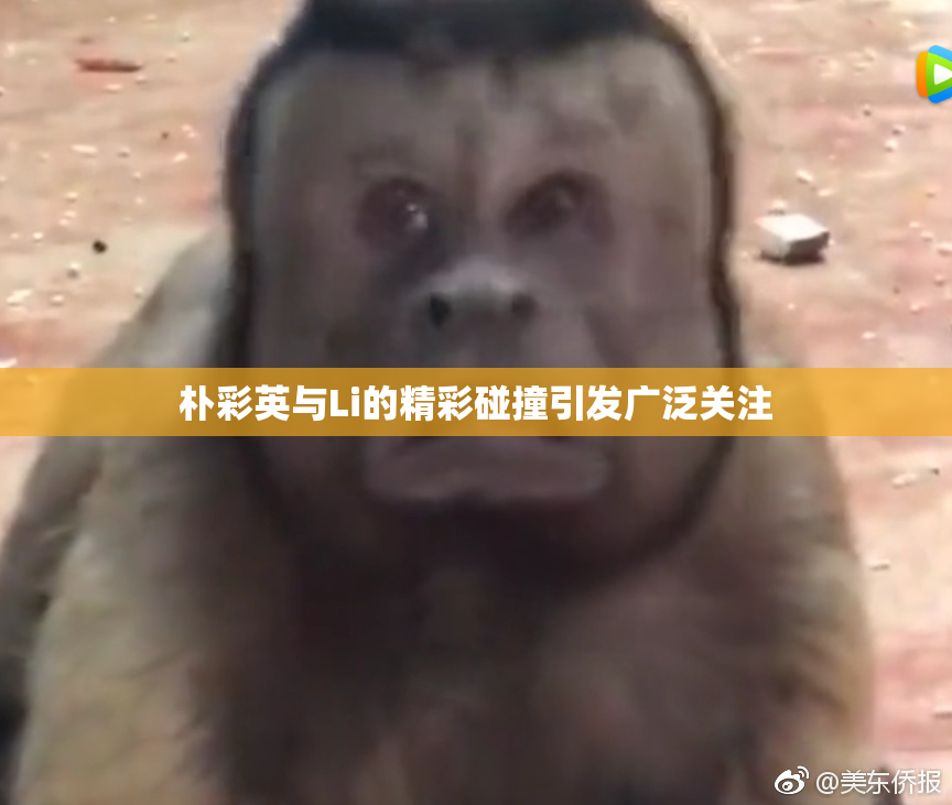 朴彩英与Li的精彩碰撞引发广泛关注
