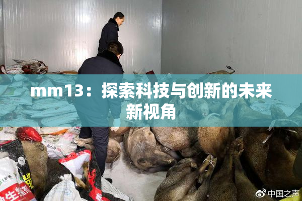 mm13：探索科技与创新的未来新视角