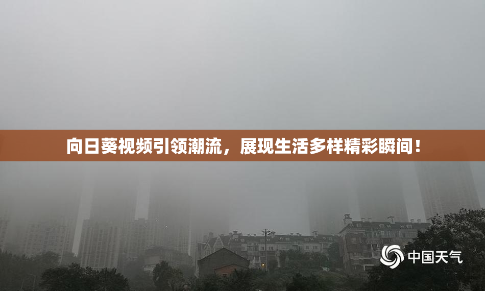 向日葵视频引领潮流，展现生活多样精彩瞬间！