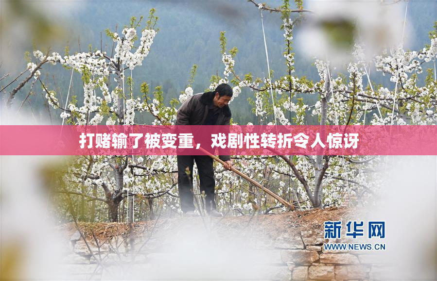 打赌输了被变重，戏剧性转折令人惊讶