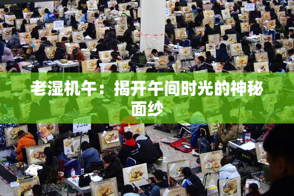 老湿机午：揭开午间时光的神秘面纱