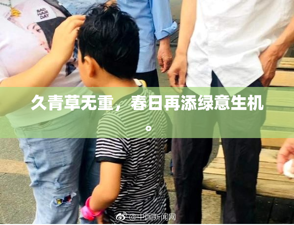 久青草无重，春日再添绿意生机。