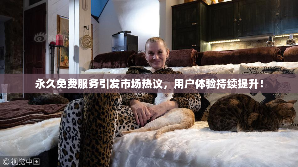 永久免费服务引发市场热议，用户体验持续提升！