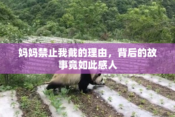 妈妈禁止我戴的理由，背后的故事竟如此感人