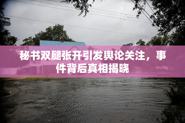 秘书双腿张开引发舆论关注，事件背后真相揭晓
