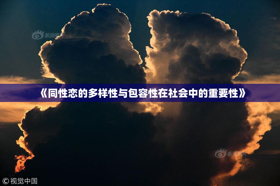 《同性恋的多样性与包容性在社会中的重要性》