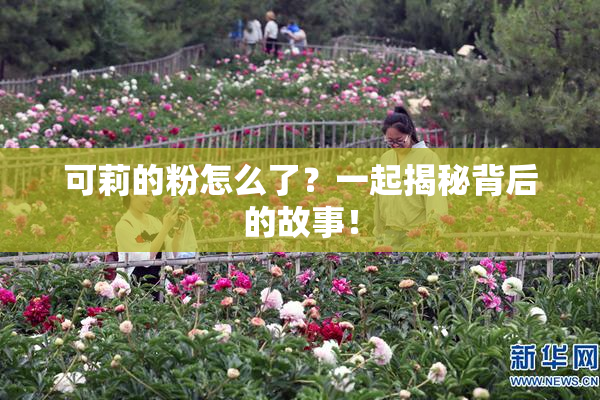 可莉的粉怎么了？一起揭秘背后的故事！