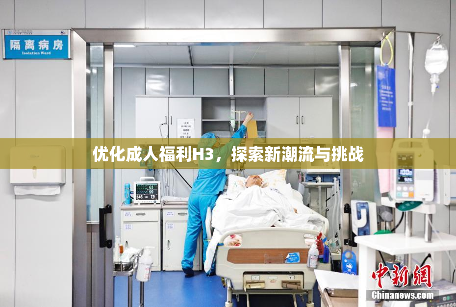 优化成人福利H3，探索新潮流与挑战