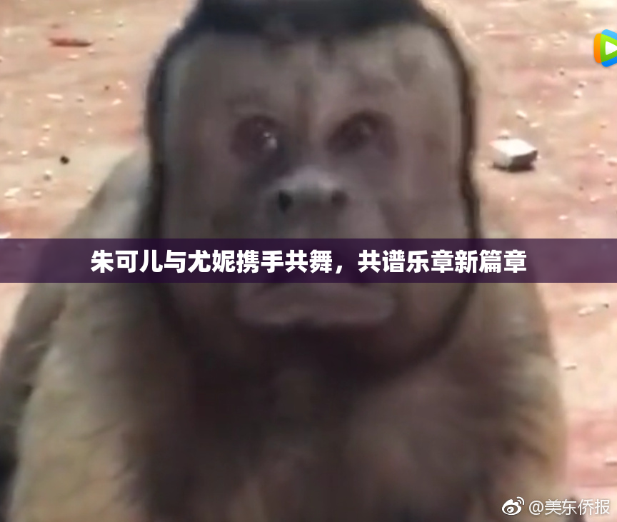 朱可儿与尤妮携手共舞，共谱乐章新篇章