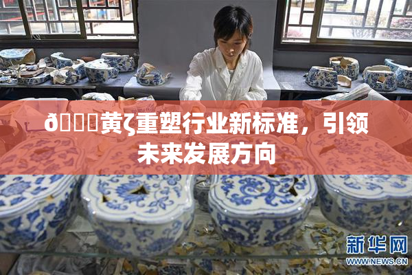 🔞黄ζ重塑行业新标准，引领未来发展方向