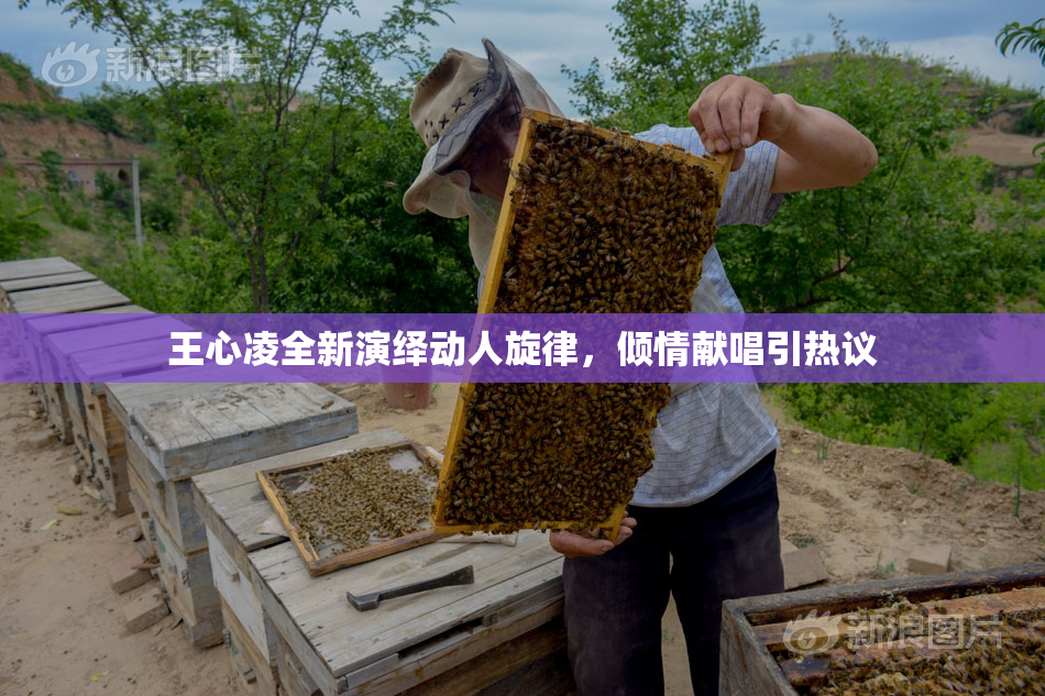 王心凌全新演绎动人旋律，倾情献唱引热议