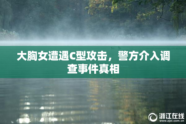 大胸女遭遇C型攻击，警方介入调查事件真相