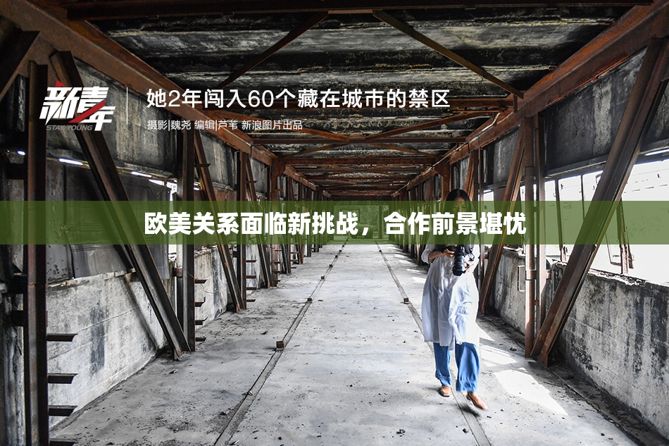 欧美关系面临新挑战，合作前景堪忧