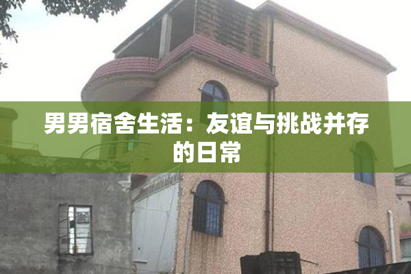 男男宿舍生活：友谊与挑战并存的日常