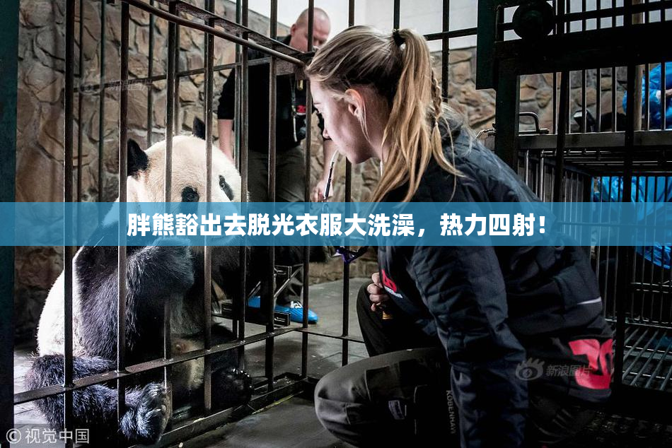 胖熊豁出去脱光衣服大洗澡，热力四射！