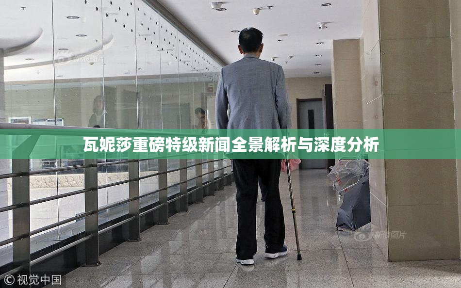 瓦妮莎重磅特级新闻全景解析与深度分析