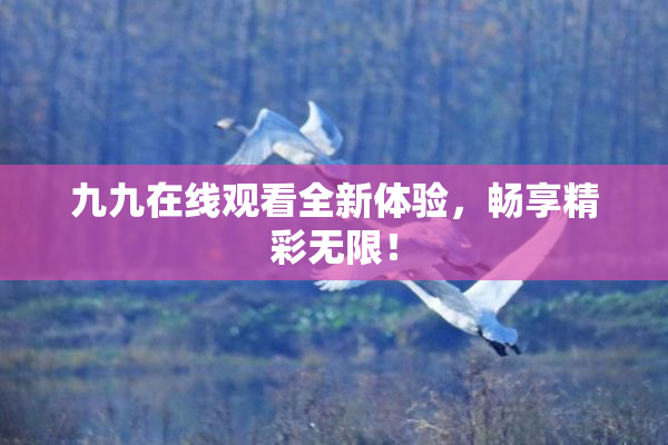 九九在线观看全新体验，畅享精彩无限！