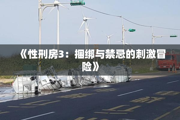 《性刑房3：捆绑与禁忌的刺激冒险》