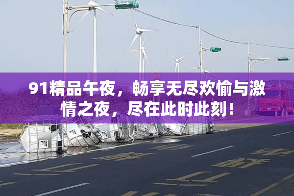 91精品午夜，畅享无尽欢愉与激情之夜，尽在此时此刻！