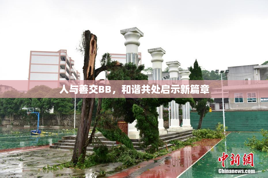 人与善交BB，和谐共处启示新篇章