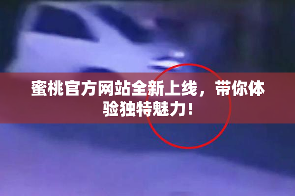 蜜桃官方网站全新上线，带你体验独特魅力！