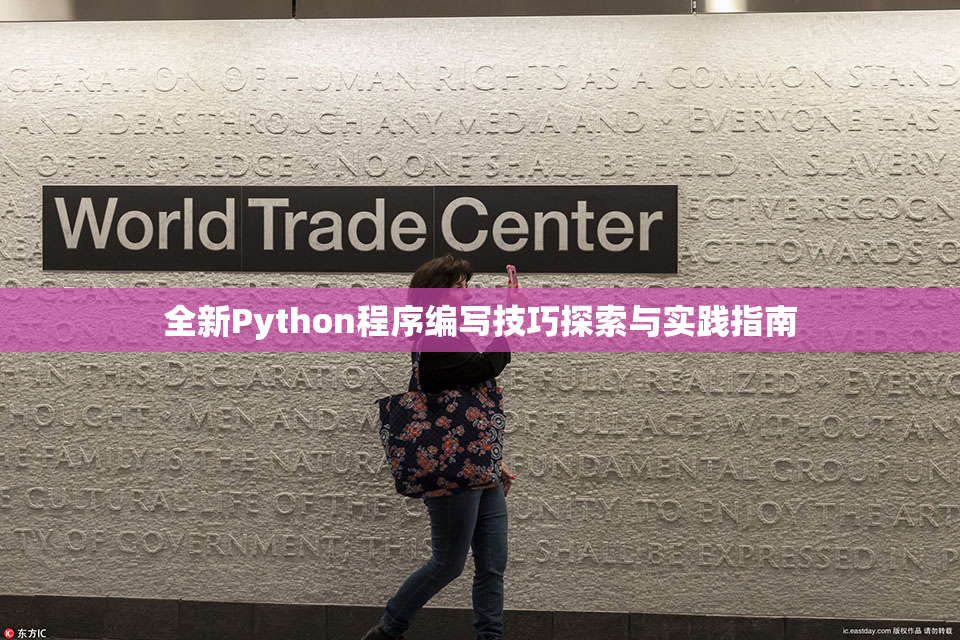 全新Python程序编写技巧探索与实践指南