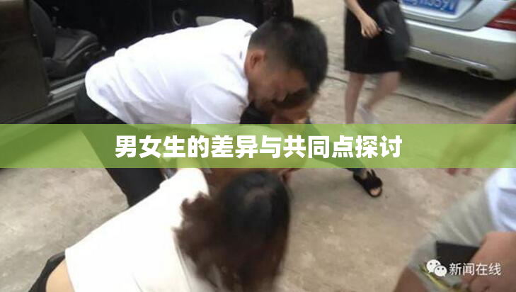 男女生的差异与共同点探讨