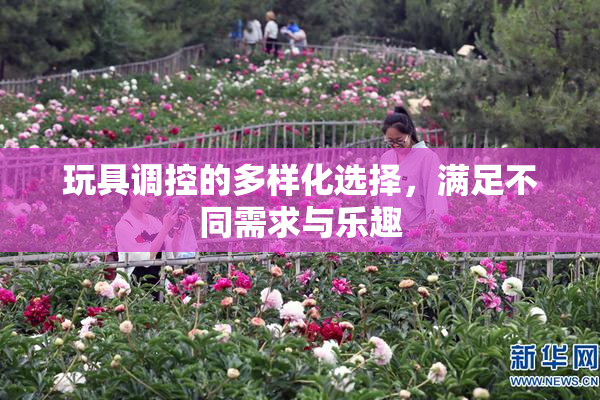玩具调控的多样化选择，满足不同需求与乐趣