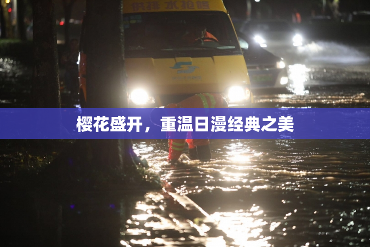 樱花盛开，重温日漫经典之美