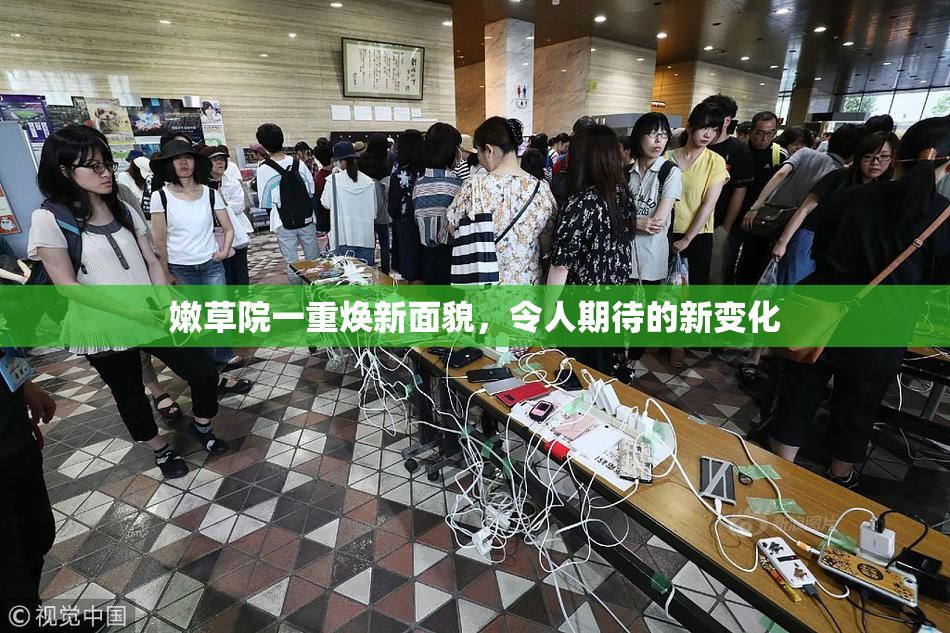 嫩草院一重焕新面貌，令人期待的新变化