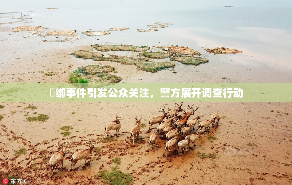 秵绑事件引发公众关注，警方展开调查行动
