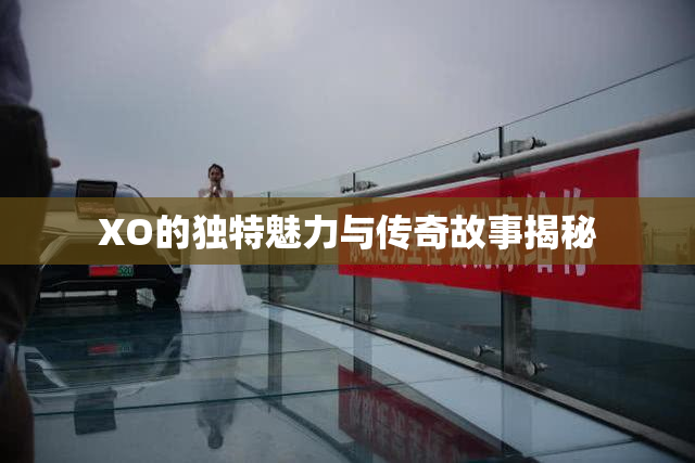 XO的独特魅力与传奇故事揭秘