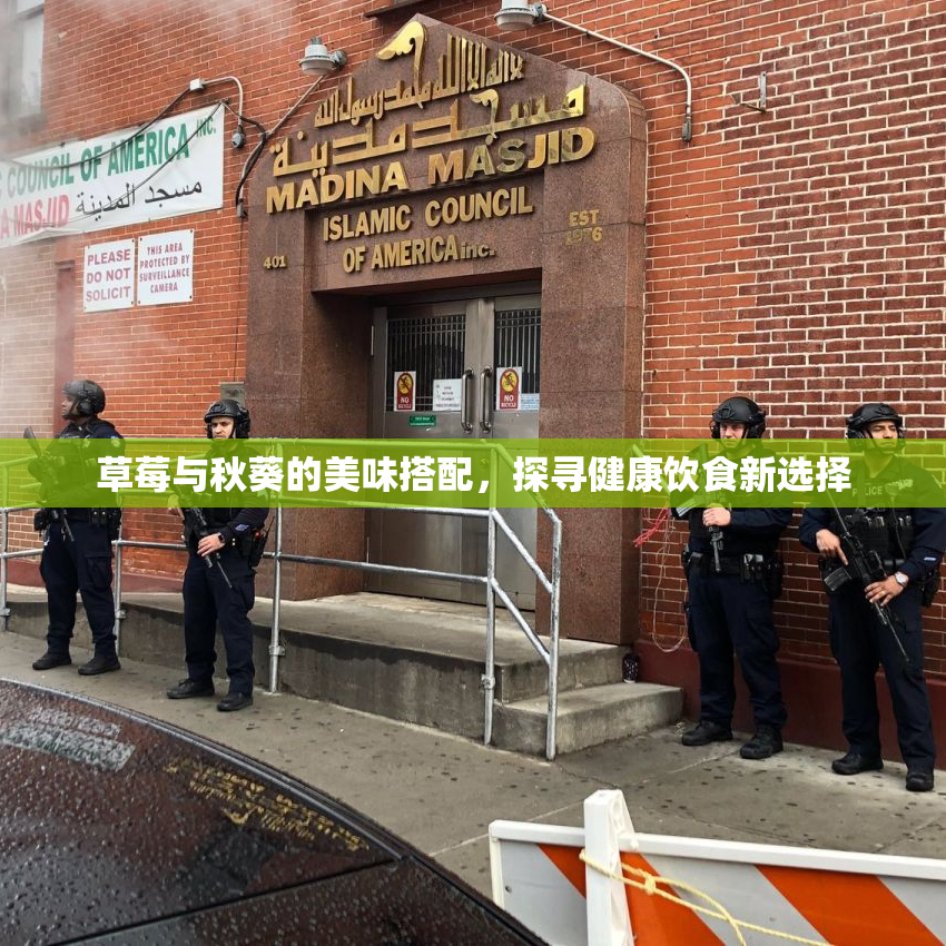 草莓与秋葵的美味搭配，探寻健康饮食新选择