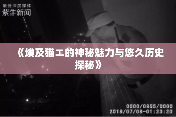 《埃及猫エ的神秘魅力与悠久历史探秘》