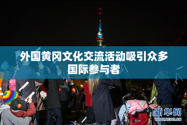 外国黄冈文化交流活动吸引众多国际参与者