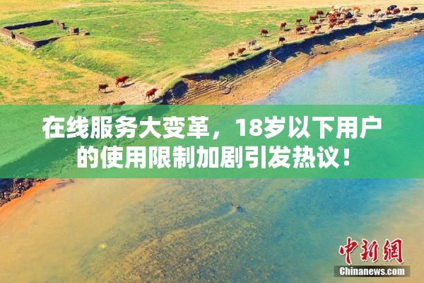在线服务大变革，18岁以下用户的使用限制加剧引发热议！