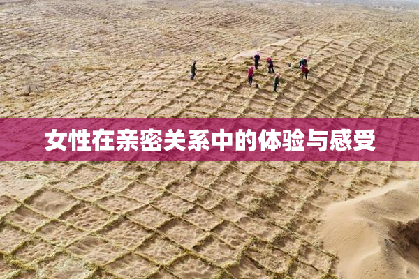 女性在亲密关系中的体验与感受
