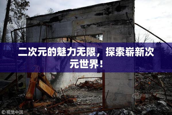 二次元的魅力无限，探索崭新次元世界！