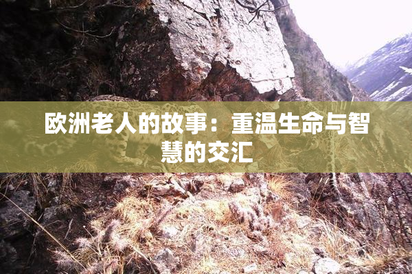 欧洲老人的故事：重温生命与智慧的交汇