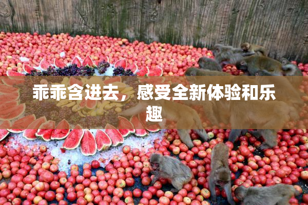 乖乖含进去，感受全新体验和乐趣
