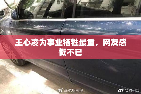 王心凌为事业牺牲最重，网友感慨不已
